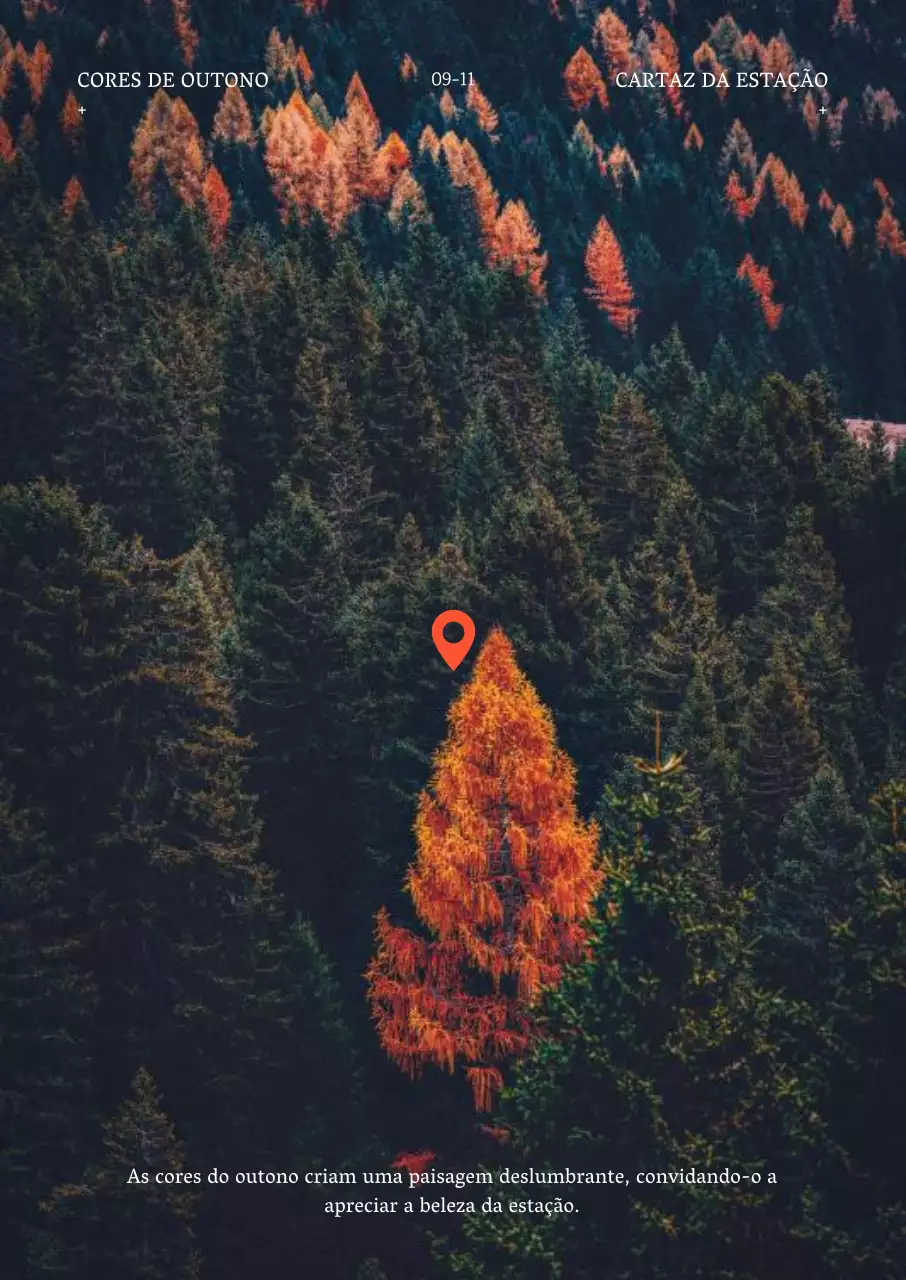 Fotografia de interior com fundo de floresta de outono em cor de laranja