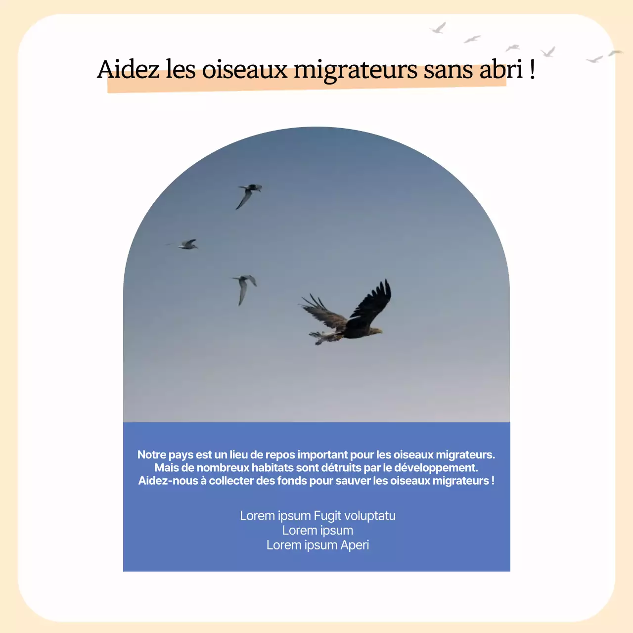 Un simple guide des oiseaux migrateurs jaune et orange