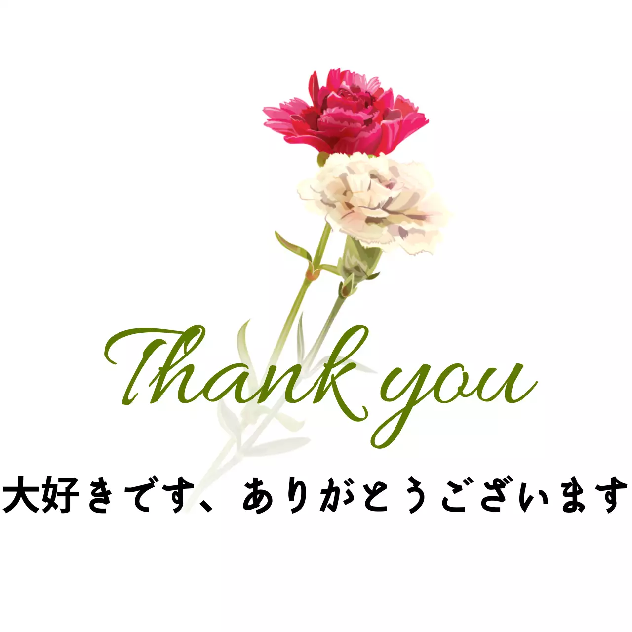 赤と白のカーネーションの感謝の気持ちのカリグラフィー