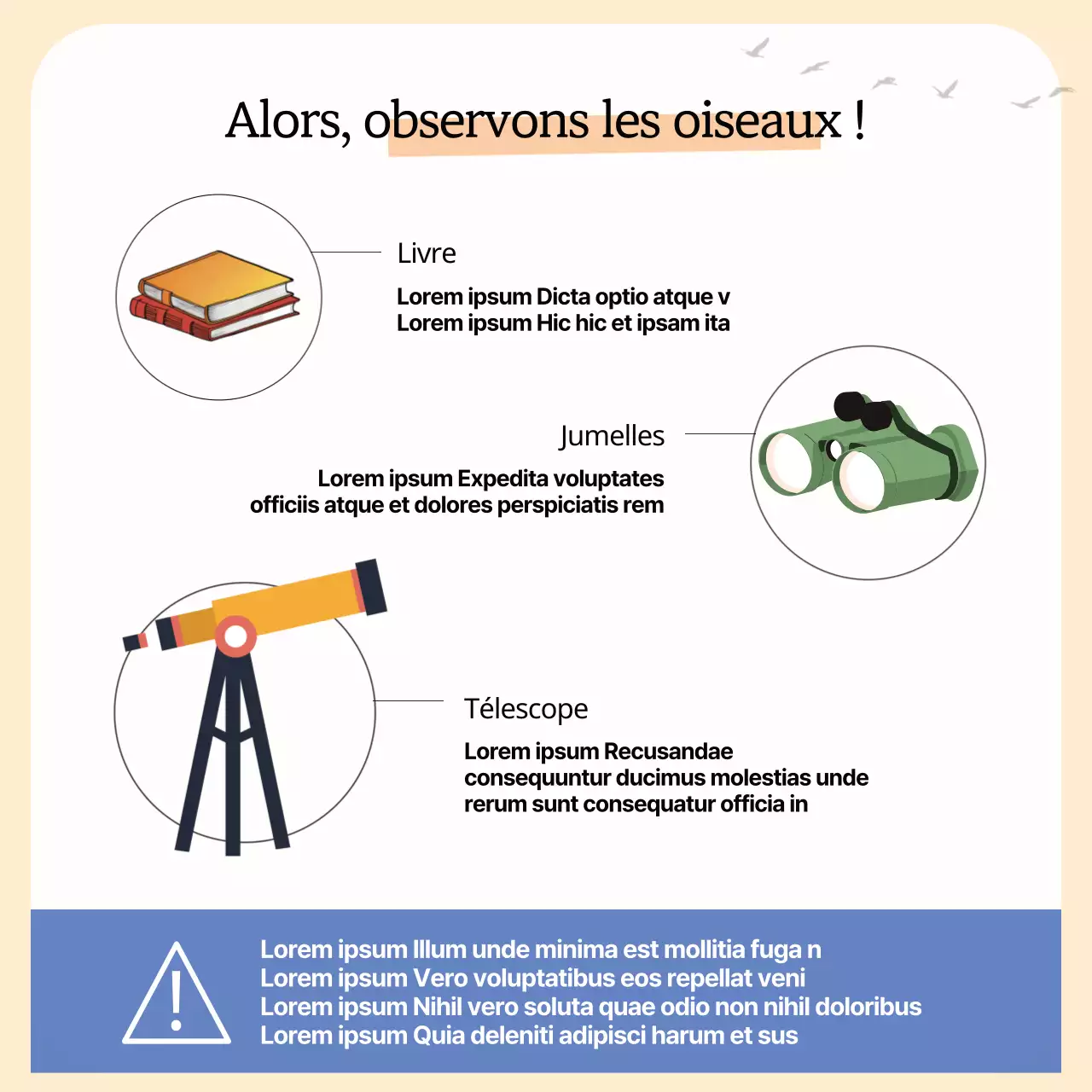 Un simple guide des oiseaux migrateurs jaune et orange