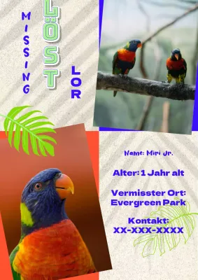 Flyer für die Suche nach einem süßen, orange-blauen Papagei 1