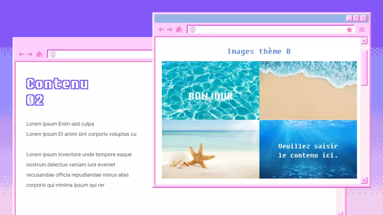 Présentation de PinkBrowser