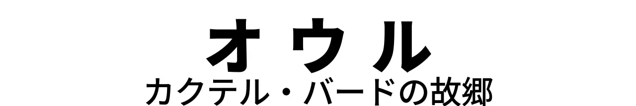 ロゴとブランド名が調和した端正なデザイン