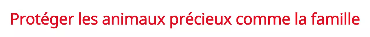 Promotion d'un événement avec le concept d'une société de protection des animaux en rouge.