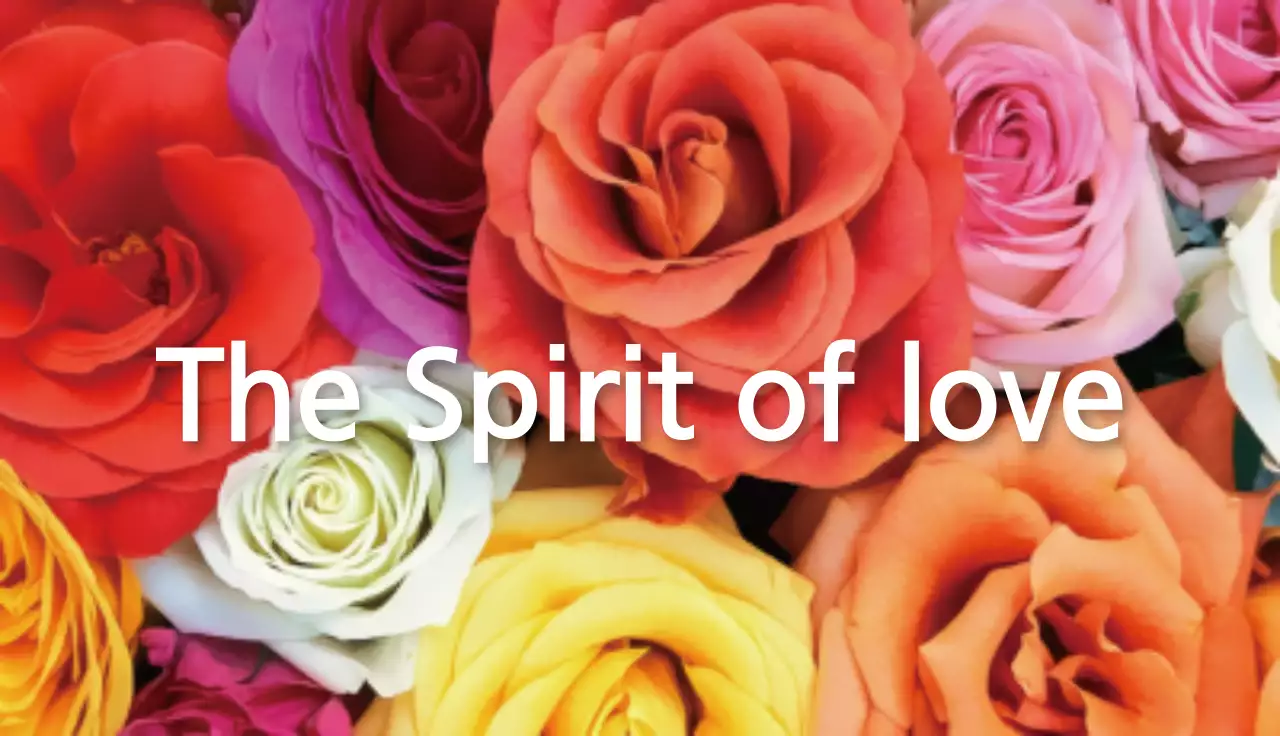 カラフル オシャレ 花 名刺