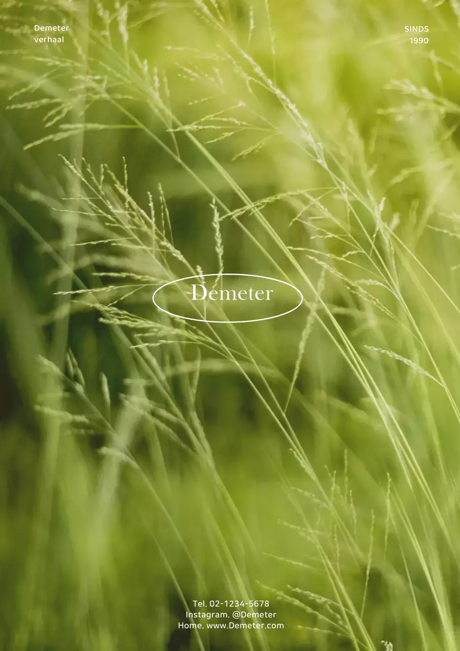 Eenvoudig ontwerp voor ansichtkaart met foto-achtergrond