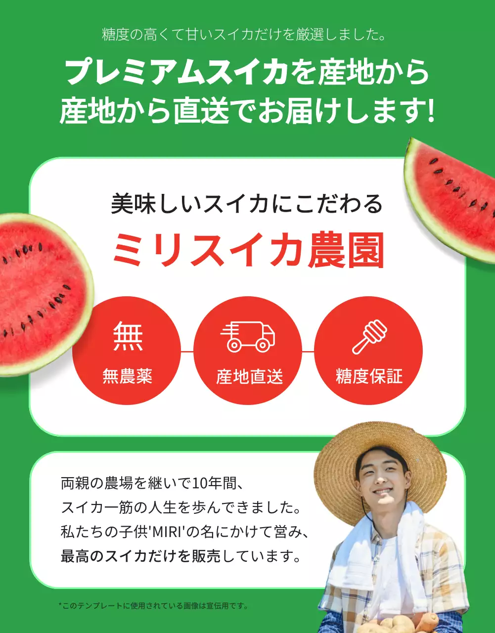 赤 かわいい スイカ チラシ 詳細ページ
