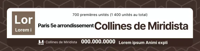 Brown Clean ShapesPatterned Property Promotion