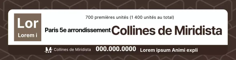 Brown Clean ShapesPatterned Property Promotion