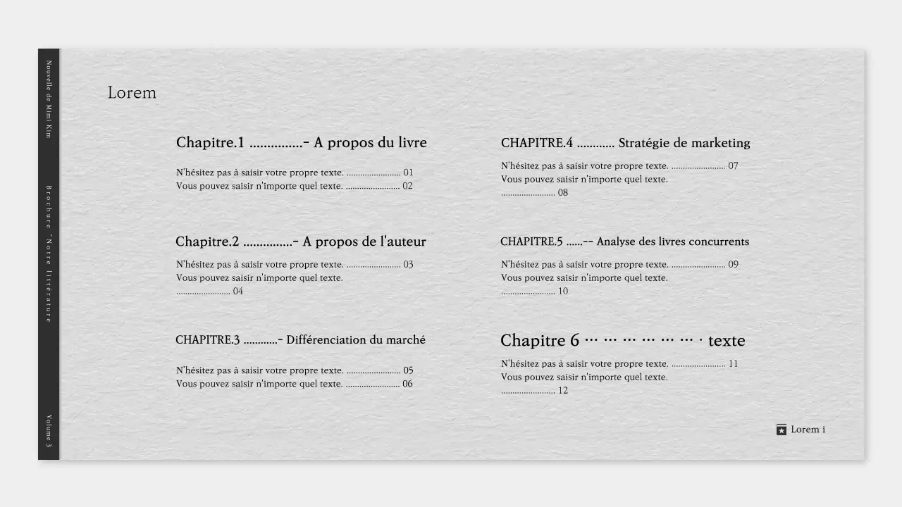 Un simple prospectus littéraire en gris et noir
