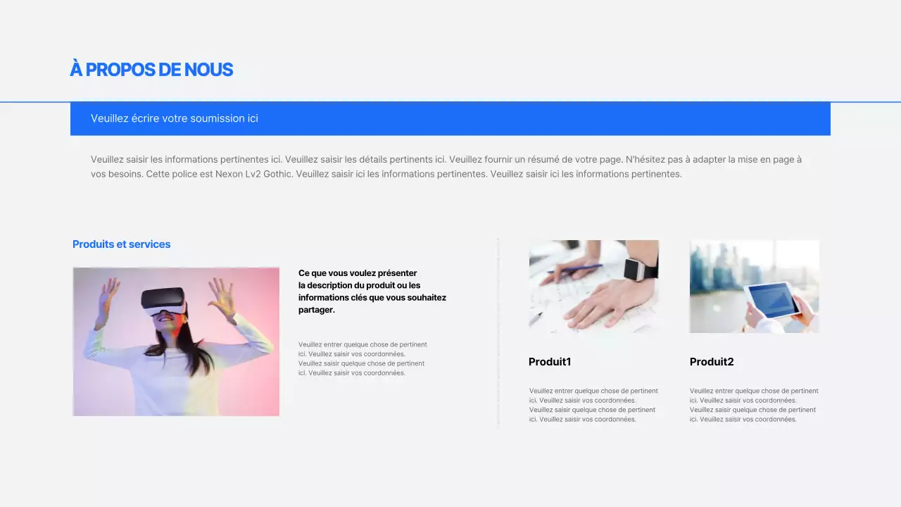 Rapports d'activité simples en bleu