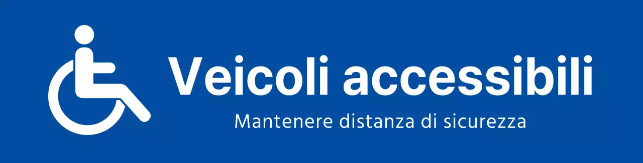 Magneti per auto per disabili