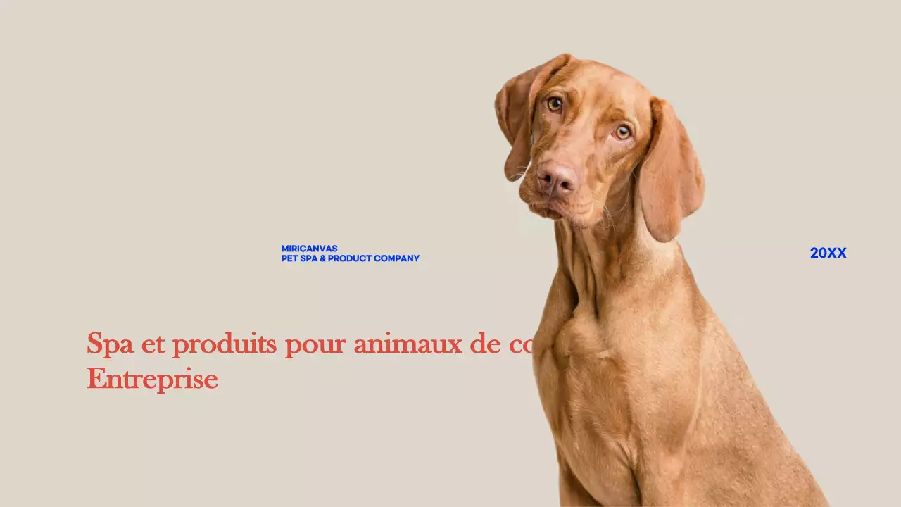 Profil de l'entreprise_animaux de compagnie