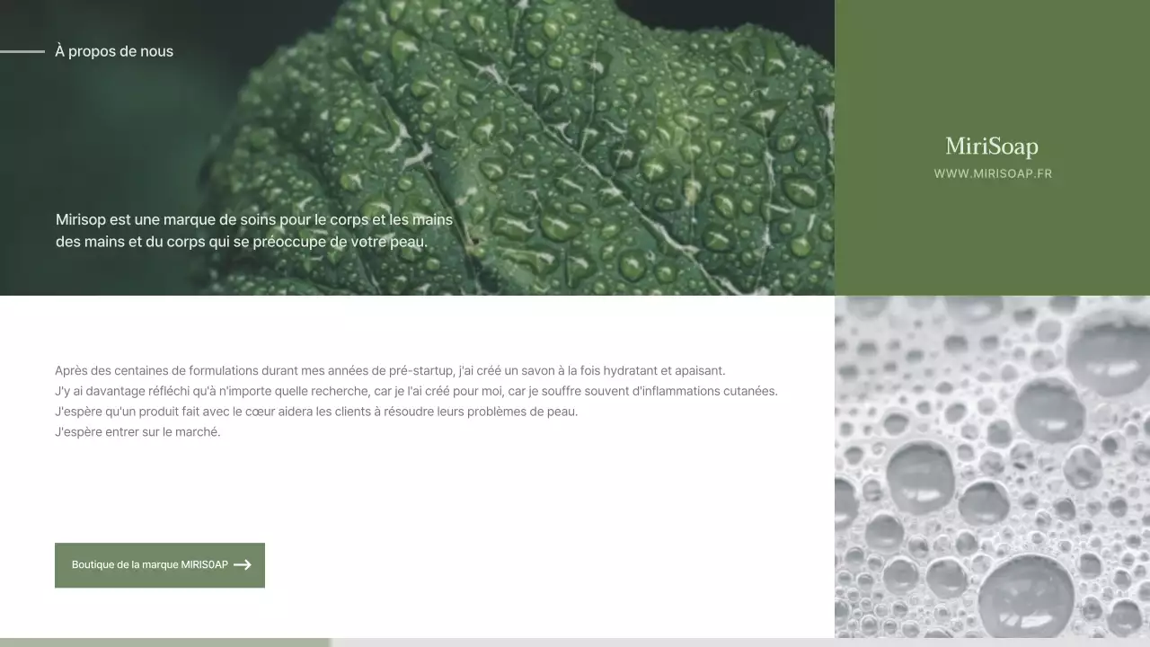 Proposition d'entrée pour un concept de savon naturaliste vert et beige