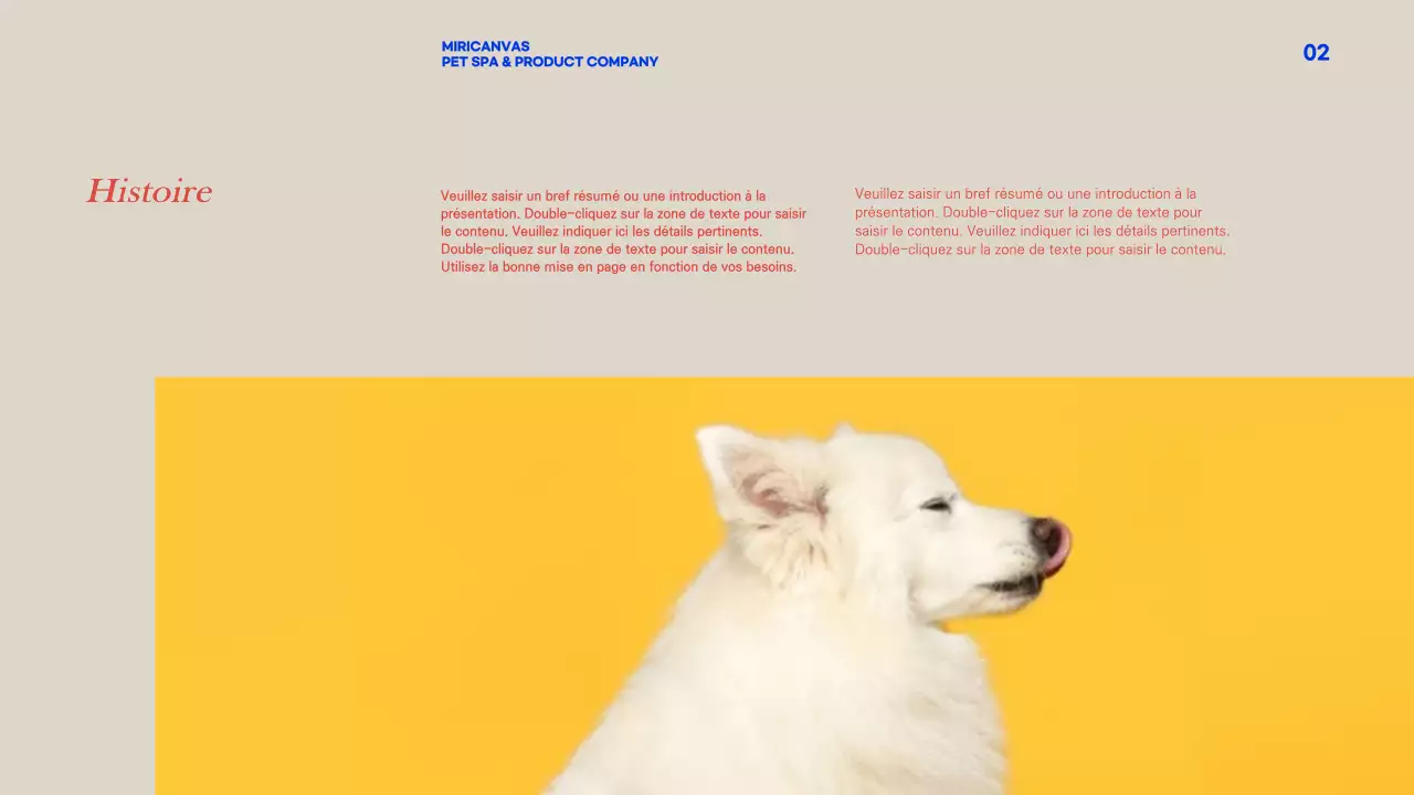 Profil de l'entreprise_animaux de compagnie