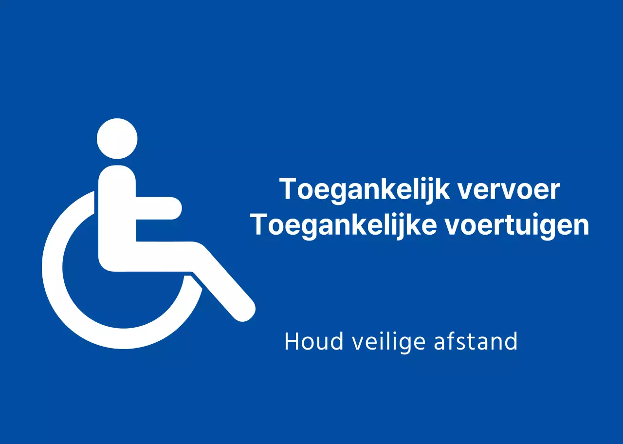 Handicap auto magneten