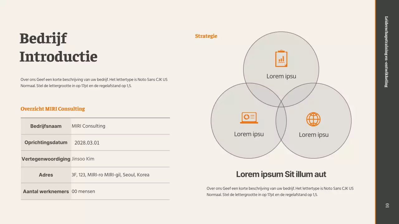 Promotee Leiderschapscoaching Lesvoorstel in Grijs en Oranje