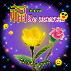 Mis mejores deseos de felicidad desde la sensibilidad senior de Borayellow