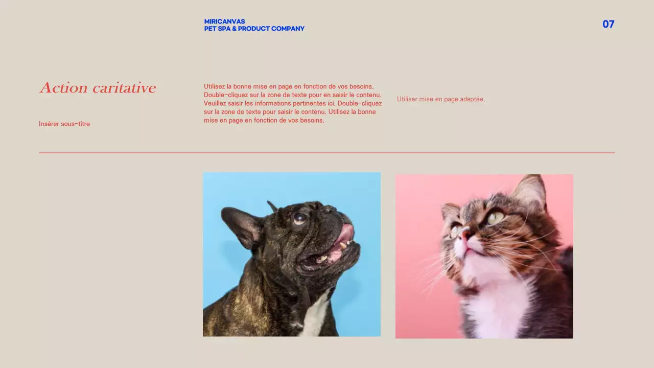 Profil de l'entreprise_animaux de compagnie