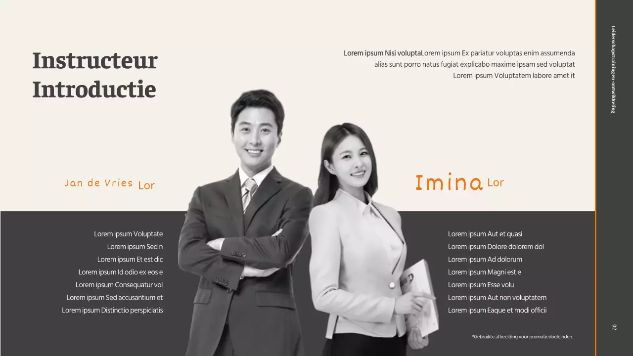 Promotee Leiderschapscoaching Lesvoorstel in Grijs en Oranje