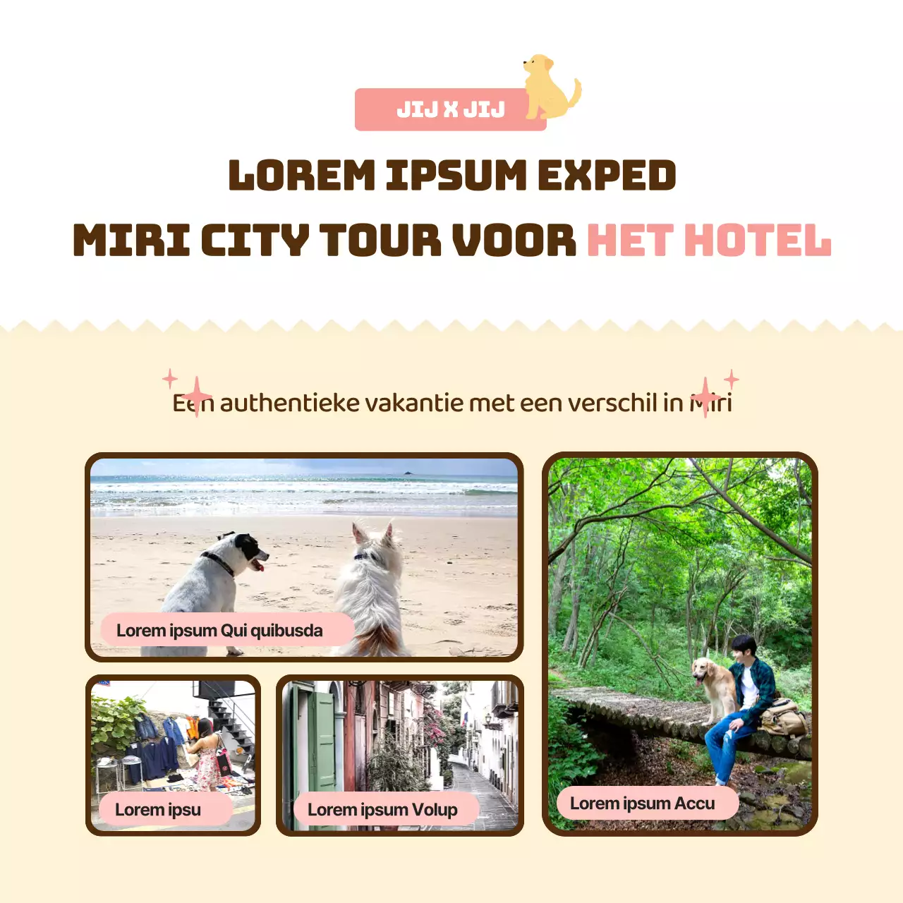 Promoot een roze, warm en knuffelbaar hondenhotel (CardNews)