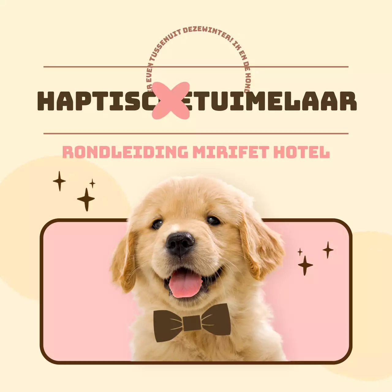 Promoot een roze, warm en knuffelbaar hondenhotel (CardNews)