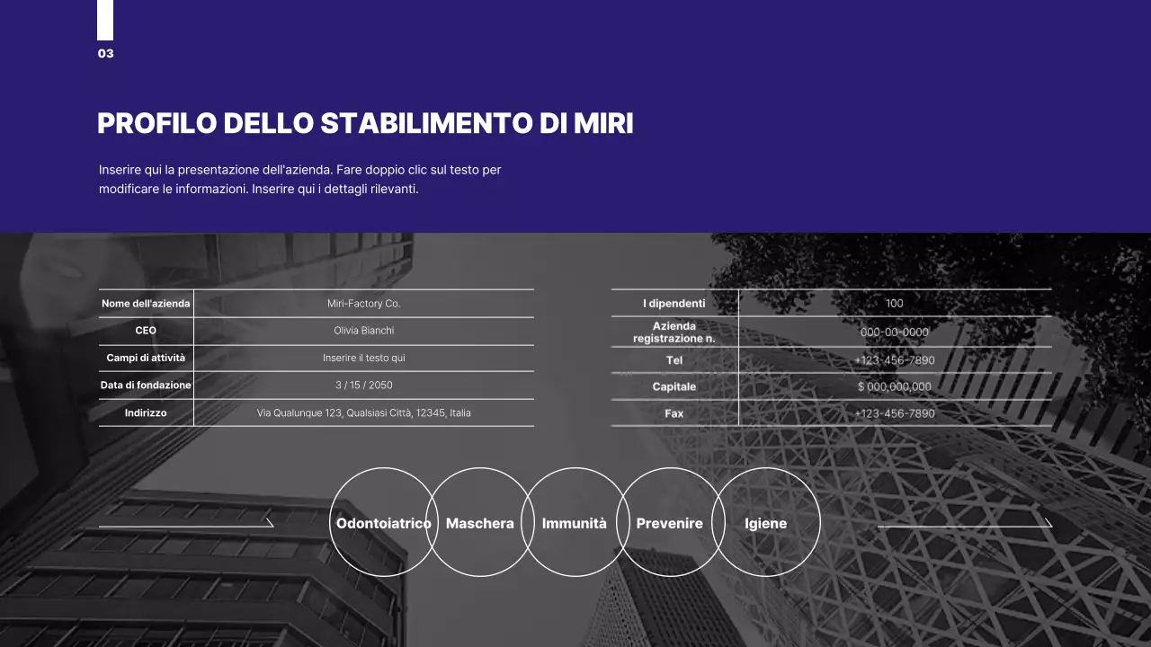 Una proposta organizzata con una grafica a cerchi di colore blu