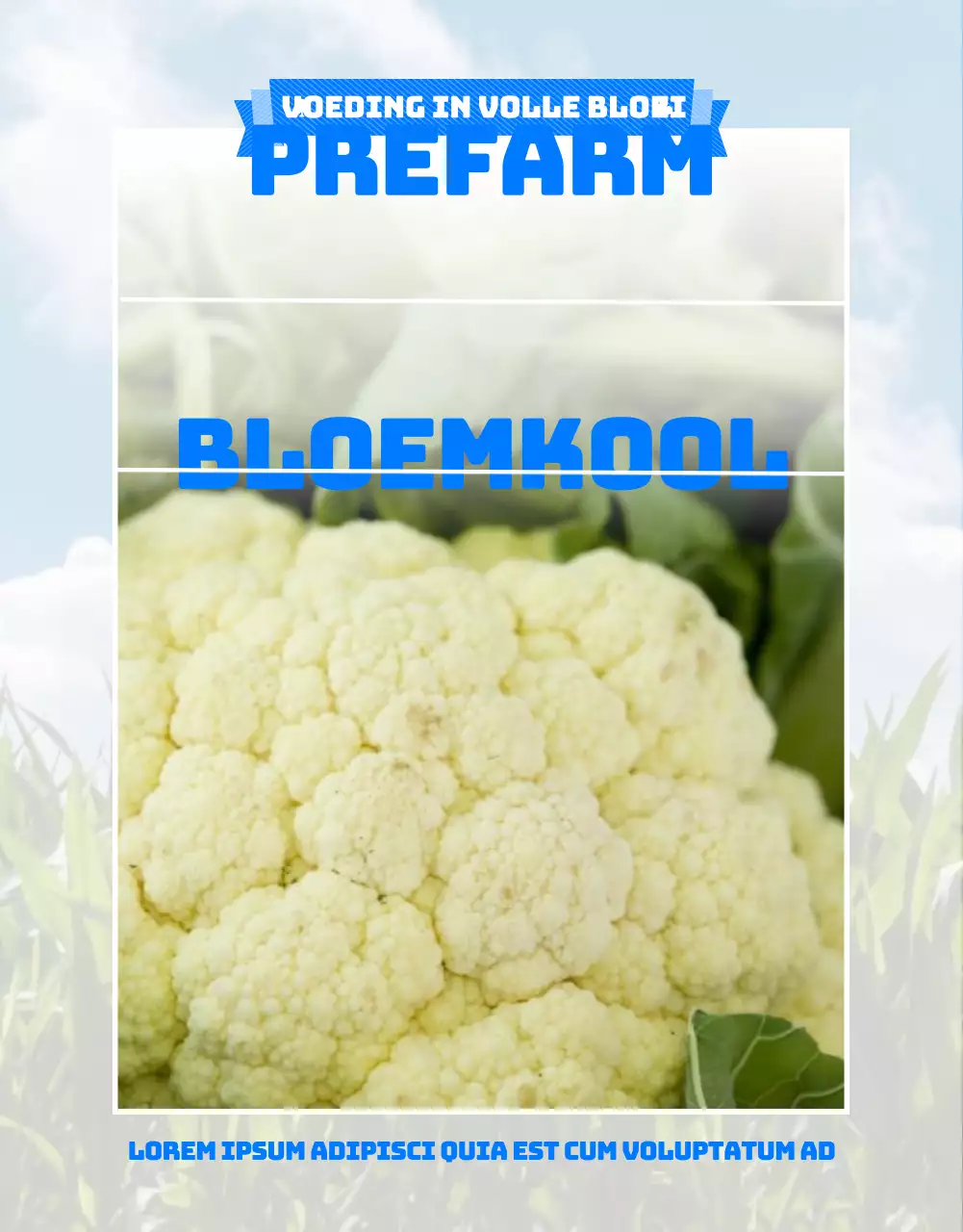 Een gids voor een bloemkoolboerderij met een schattig blauwgroen illustratiethema