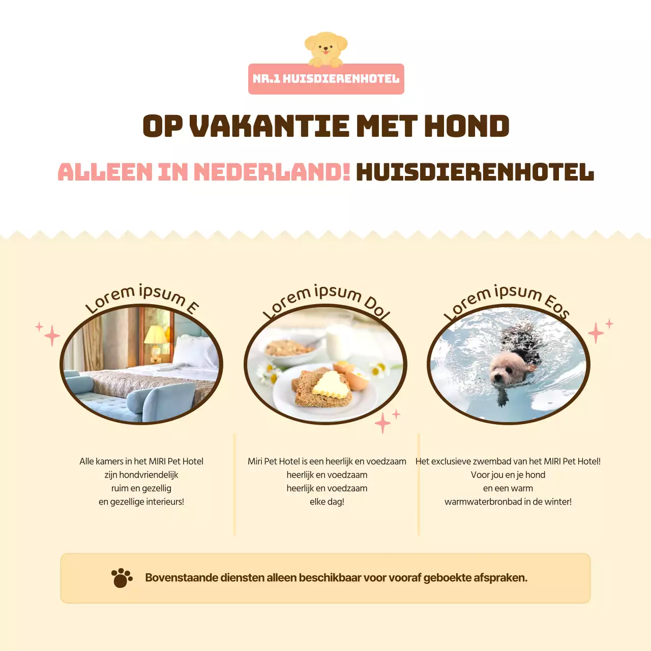 Promoot een roze, warm en knuffelbaar hondenhotel (CardNews)