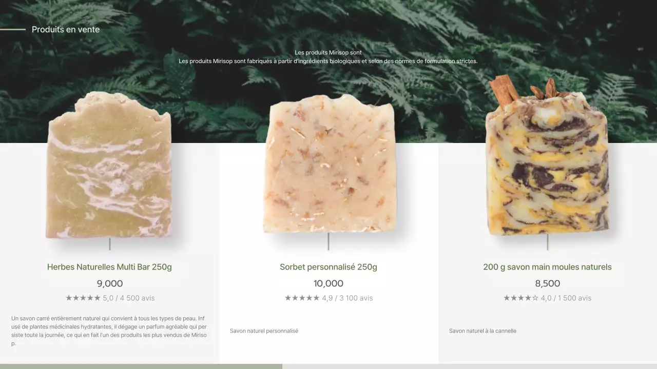 Proposition d'entrée pour un concept de savon naturaliste vert et beige