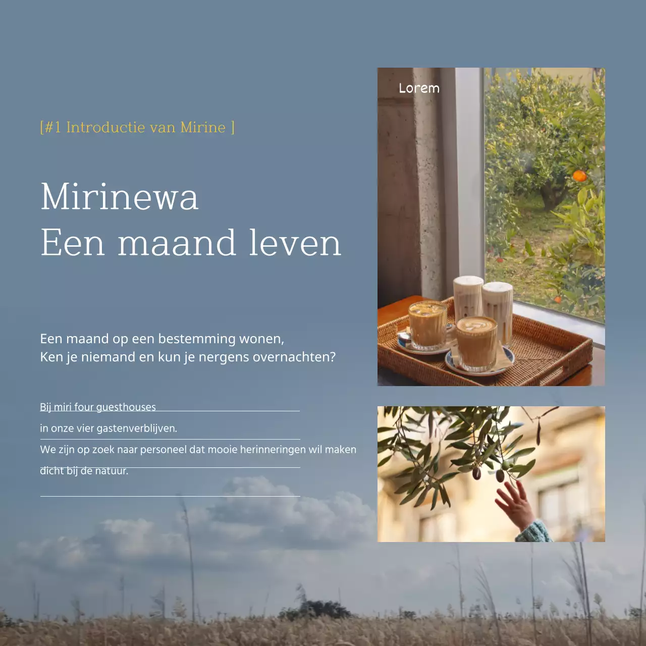 Bestemming pension in Jeju Island met een emotionele en rustgevende landschap fotografie achtergrond in blauw en geel