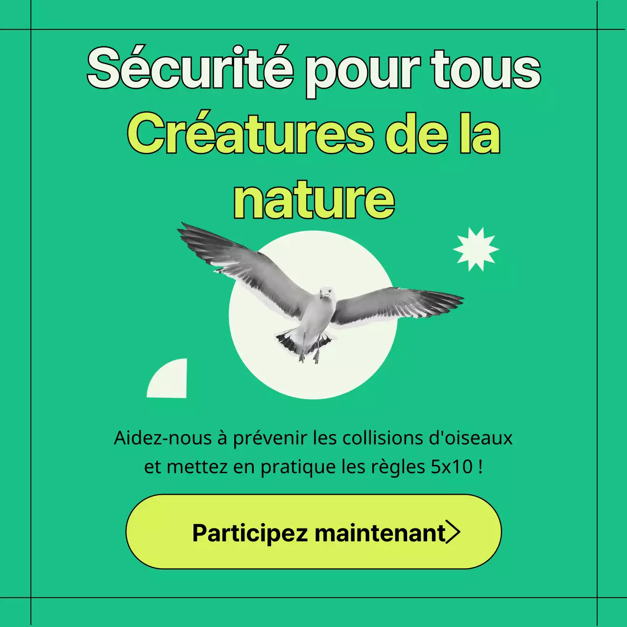 Informations vertes et géométriques sur la prévention des collisions avec les vitres des oiseaux sauvages (Card News)