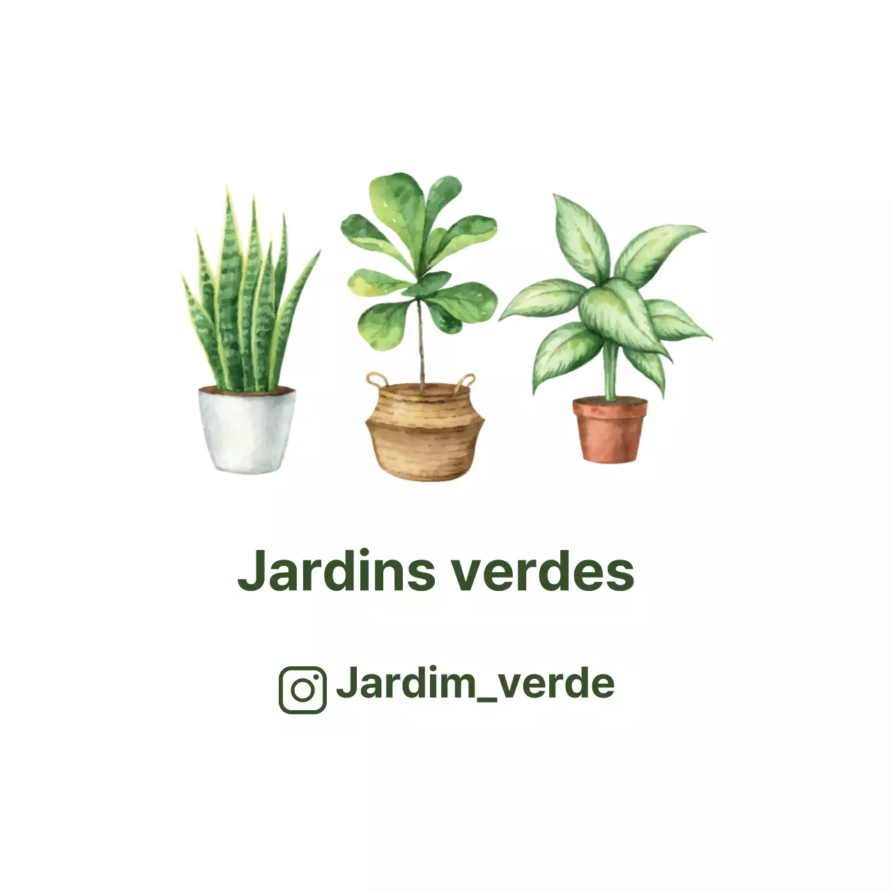 Etiquetas de jardim botânico brancas, ilustradas e limpas