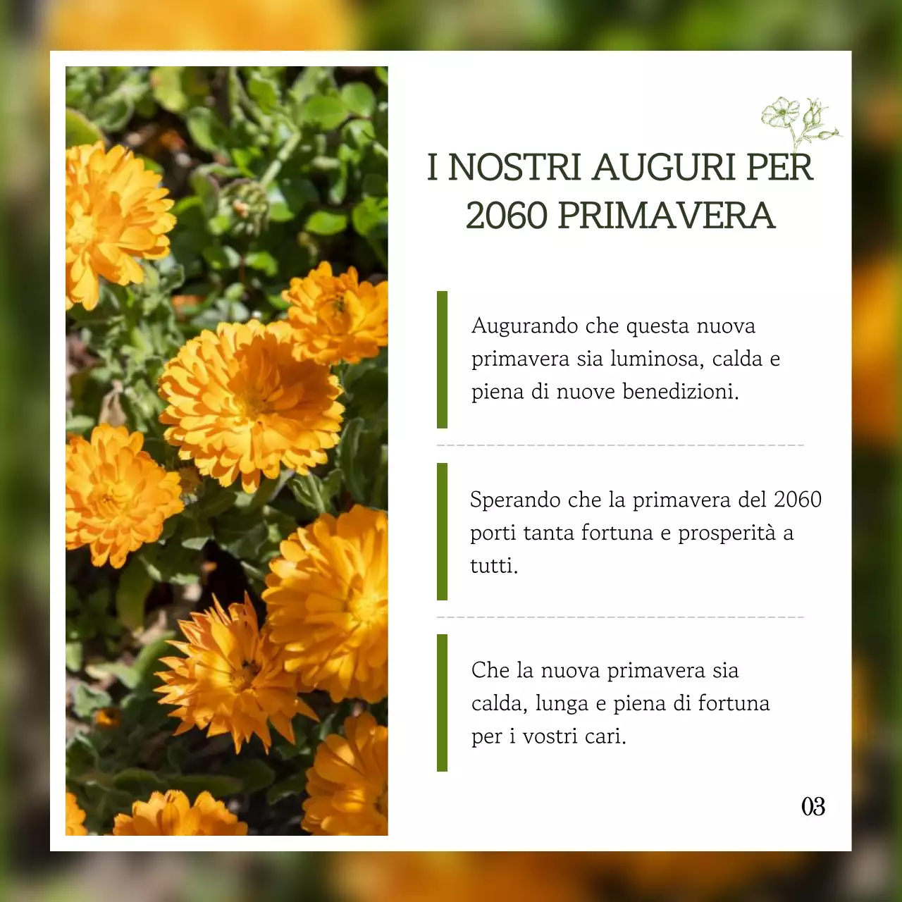 Ipchun emozionale con punti verdi