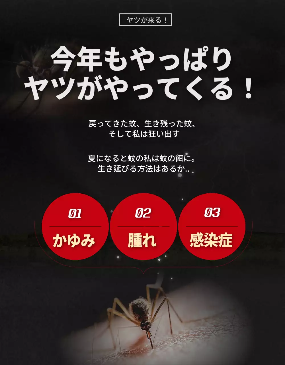 黒 ホラー 虫除け ポスター 詳細ページ