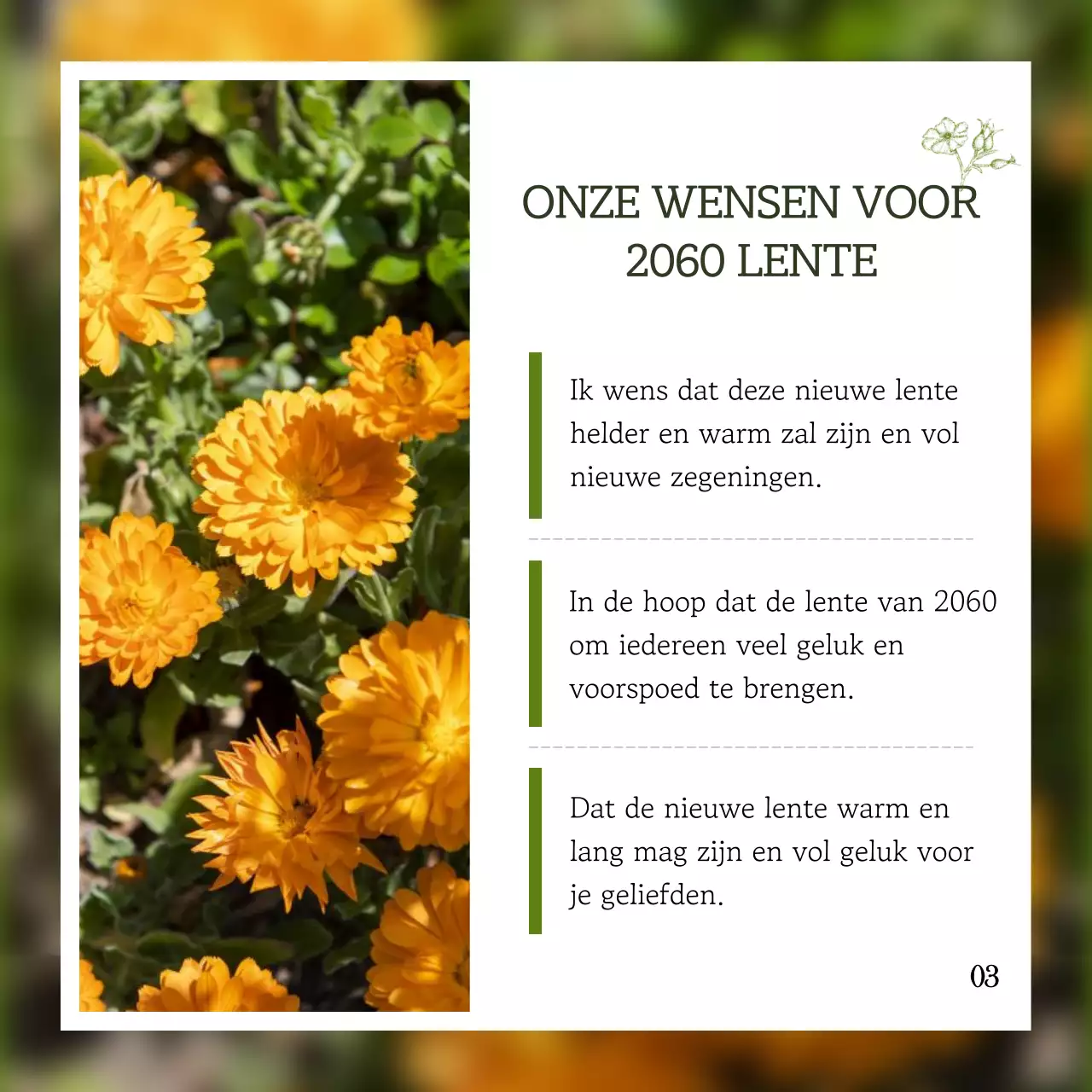 Emotionele Ipchun met groene punten