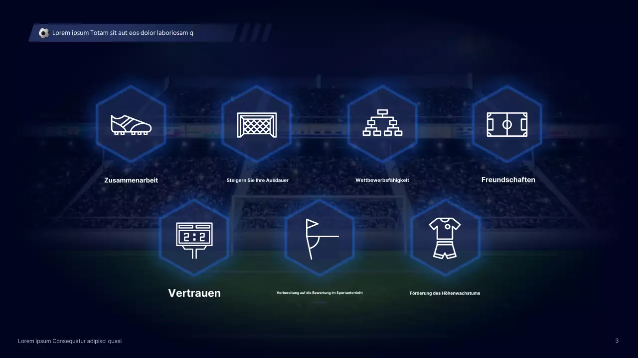 Sodomys Cyber-Konzept für ein außerschulisches Programm - Leitfaden für die Einstellung von Fußballvereinen