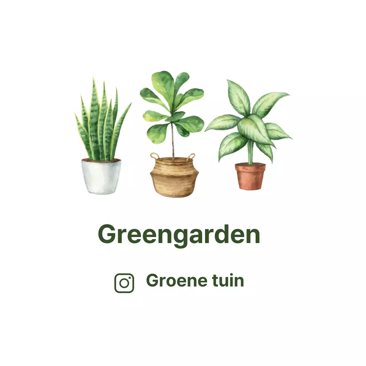 Witte geïllustreerde schone botanische tuinetiketten