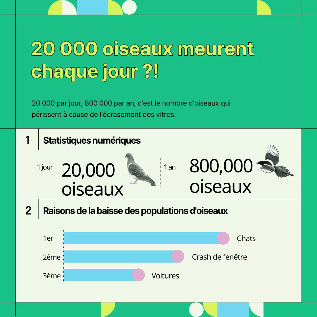 Informations vertes et géométriques sur la prévention des collisions avec les vitres des oiseaux sauvages (Card News)