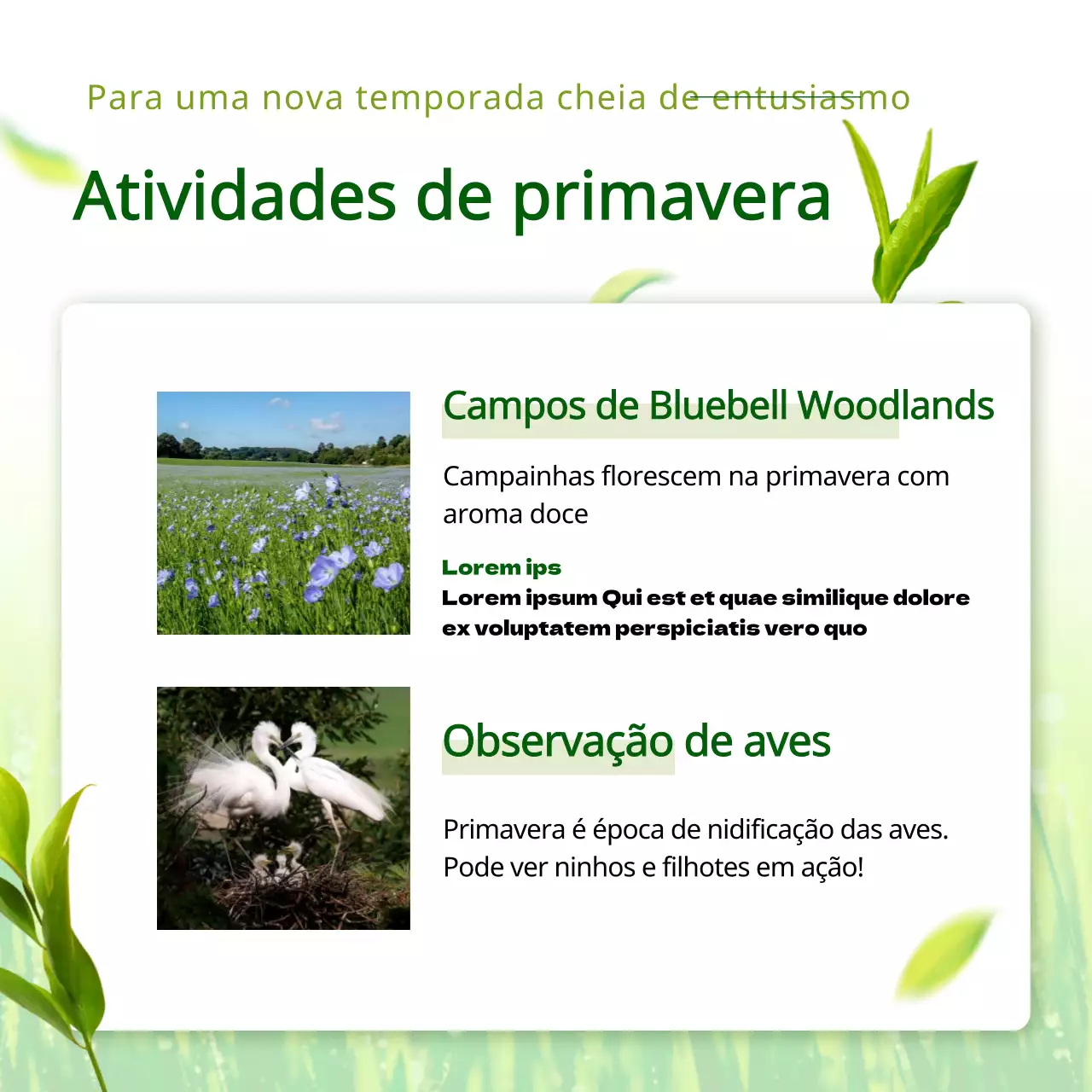 Um conceito fresco, verde e frondoso para o Ano Novo Chinês.