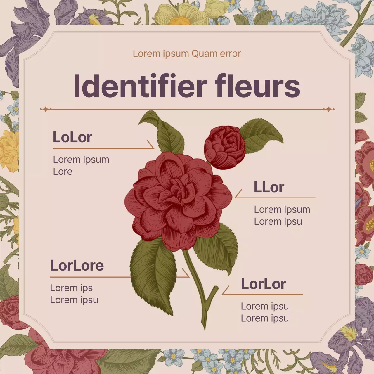 Concept de fleur printanière de fleur vintage rose concept complet