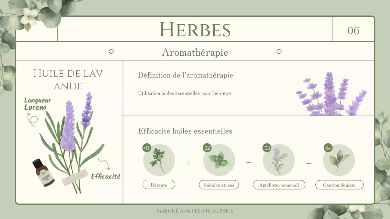 Informations sur les fleurs et les herbes comestibles sur le thème de l'illustration verte et sentimentale à l'aquarelle