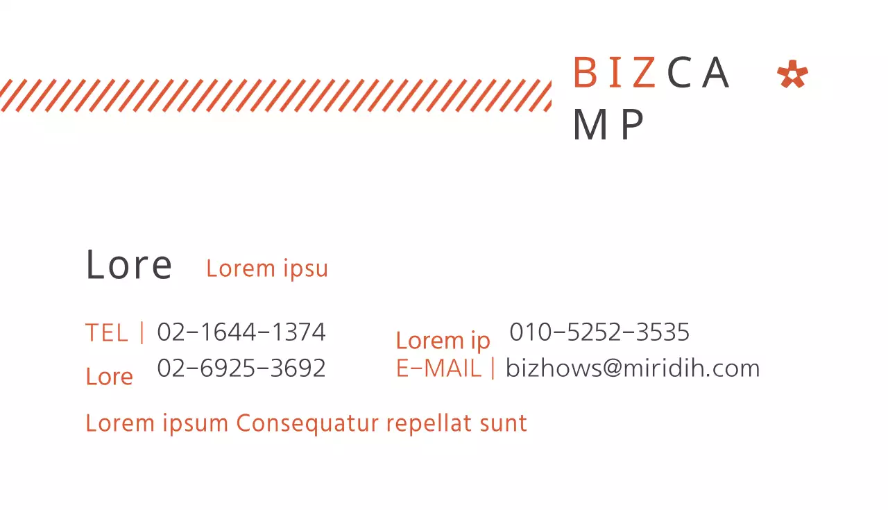 Bizcamp
