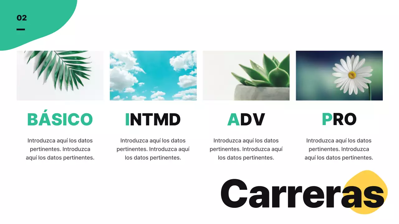 Una simpática ilustración abstracta de colores vivos para presentar el plan de empresa y el plan de estudios de su centro de enseñanza.