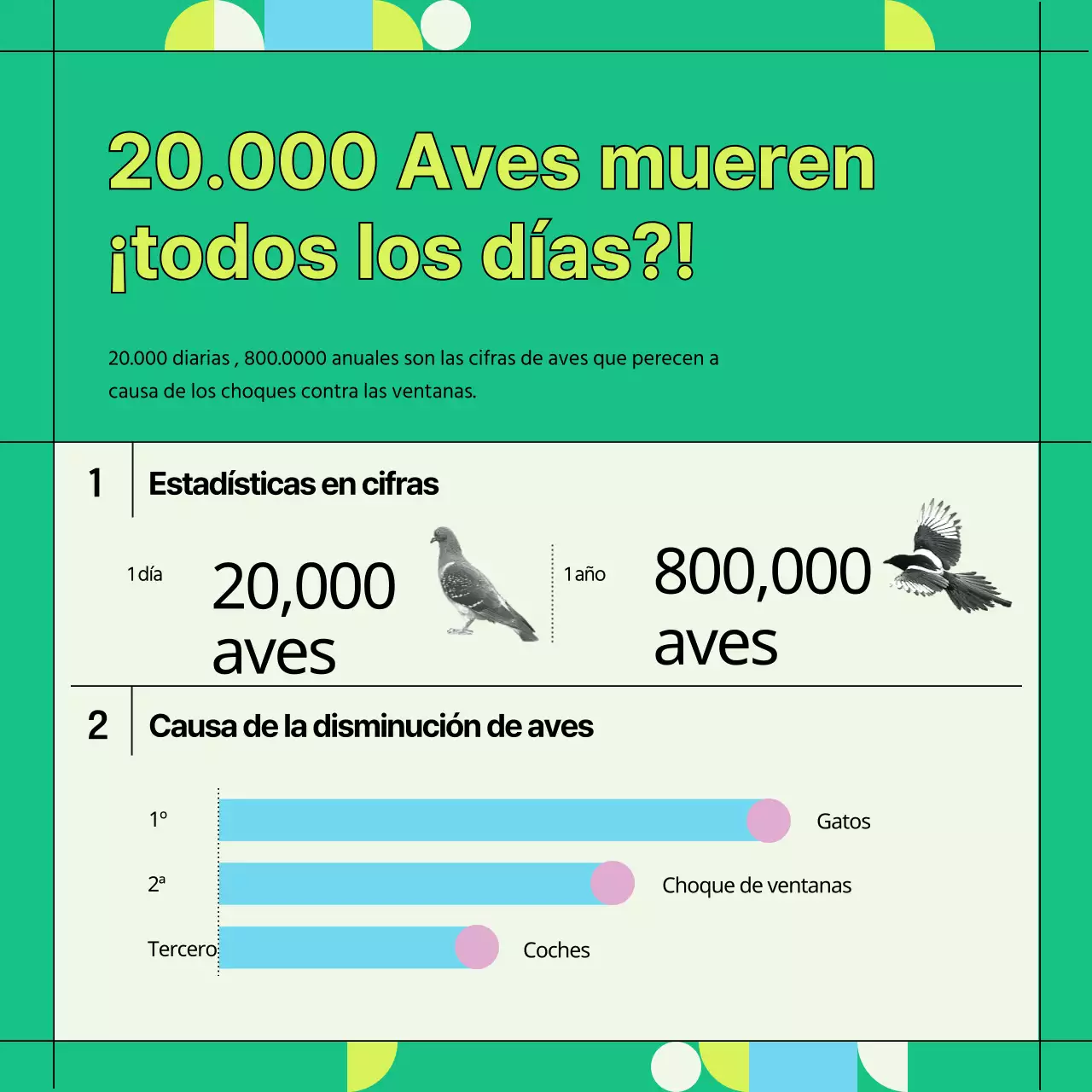 Información verde y geométrica sobre la prevención de colisiones con aves silvestres en las ventanillas (Card News)