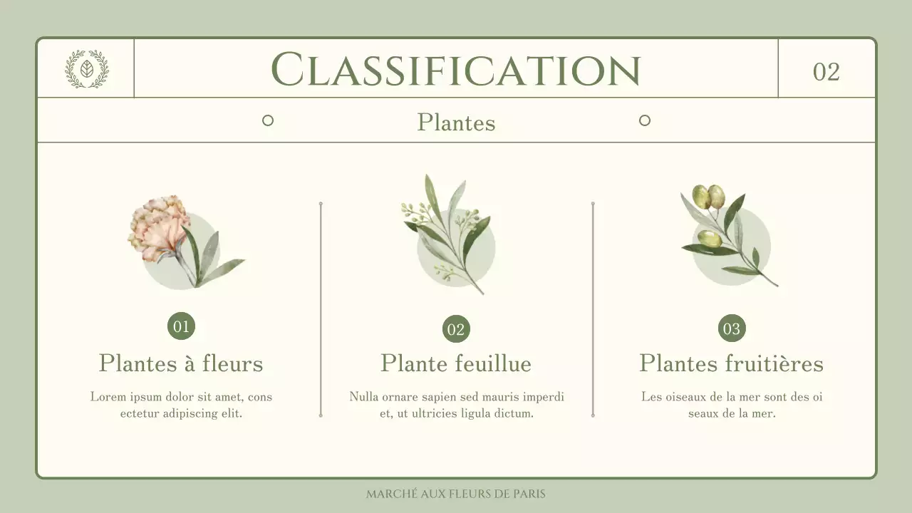Informations sur les fleurs et les herbes comestibles sur le thème de l'illustration verte et sentimentale à l'aquarelle
