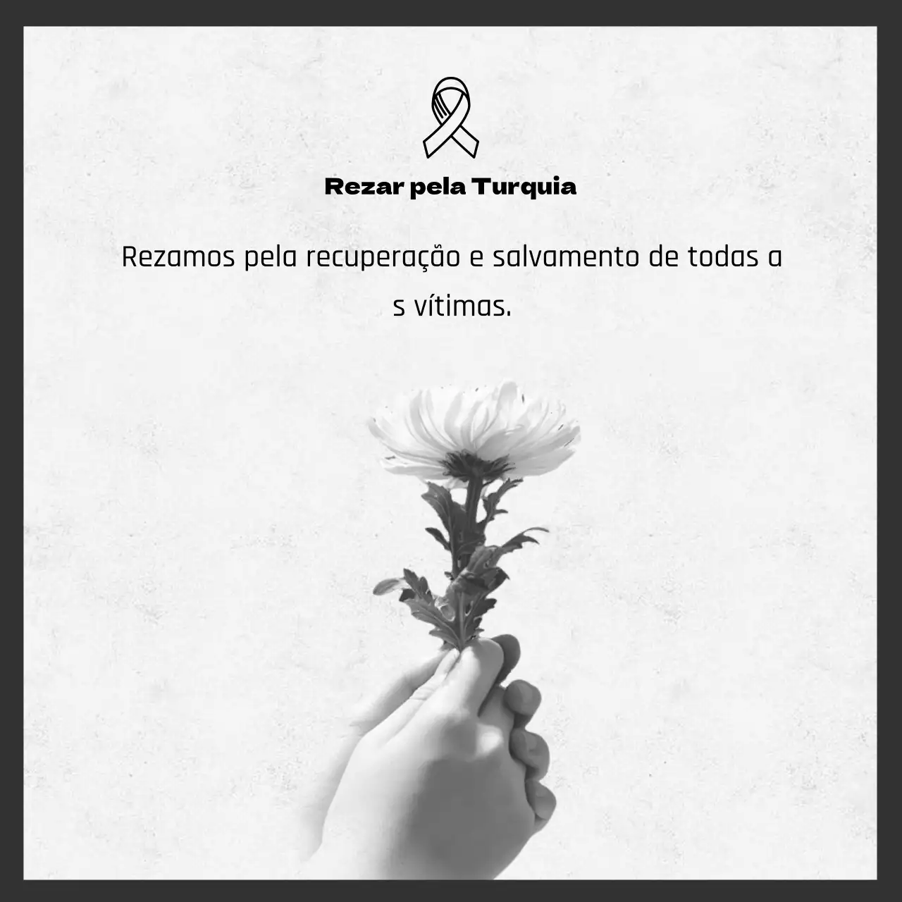 Foto de flor de crisântemo cinzento destaca memorial de danos causados pelo terramoto