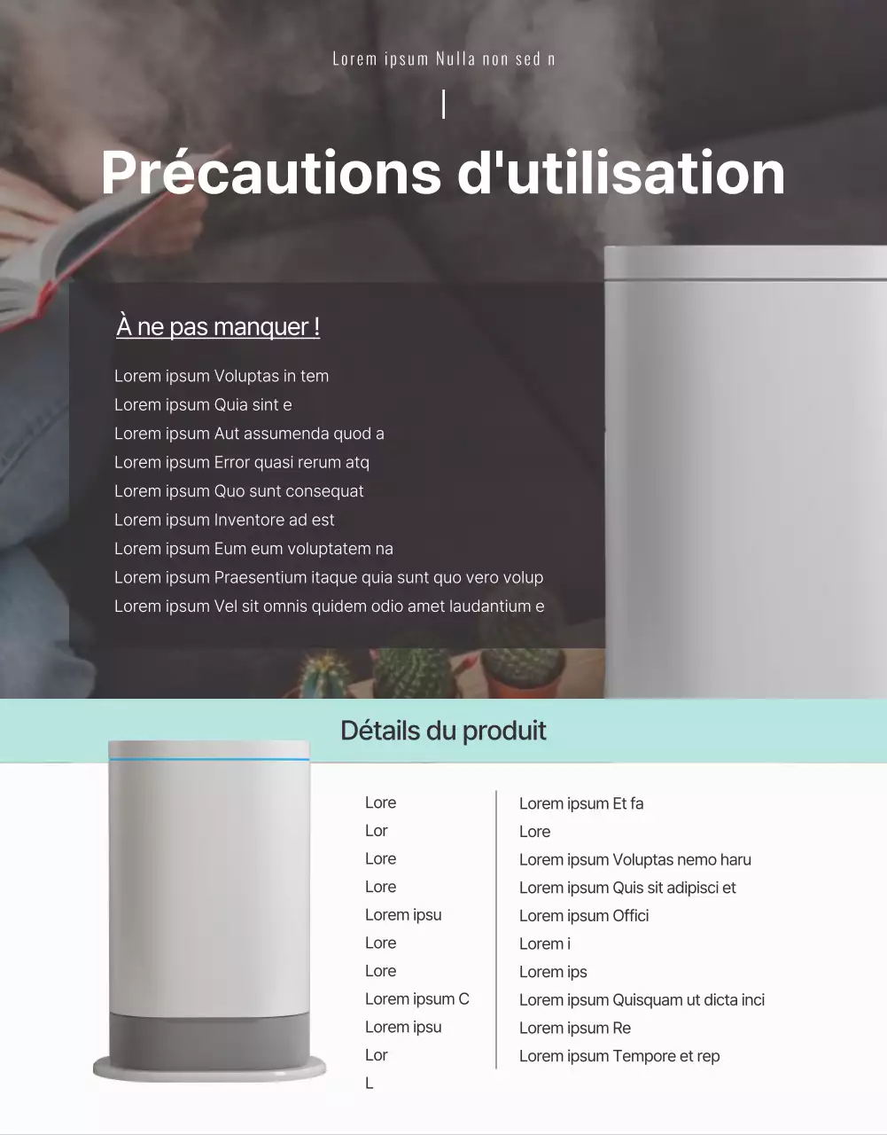 Guide des produits pour un humidificateur ultrasonique simple de couleur menthe