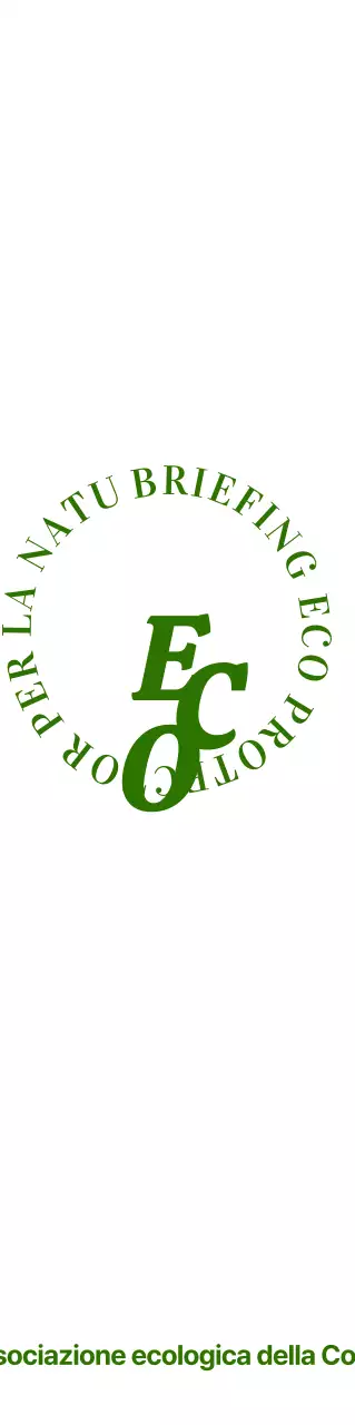 Promuovere un concetto verde e semplice per un briefing eco-compatibile