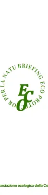 Promuovere un concetto verde e semplice per un briefing eco-compatibile